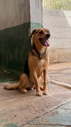 GUS Image 2